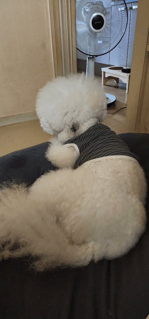 3번 째 사진