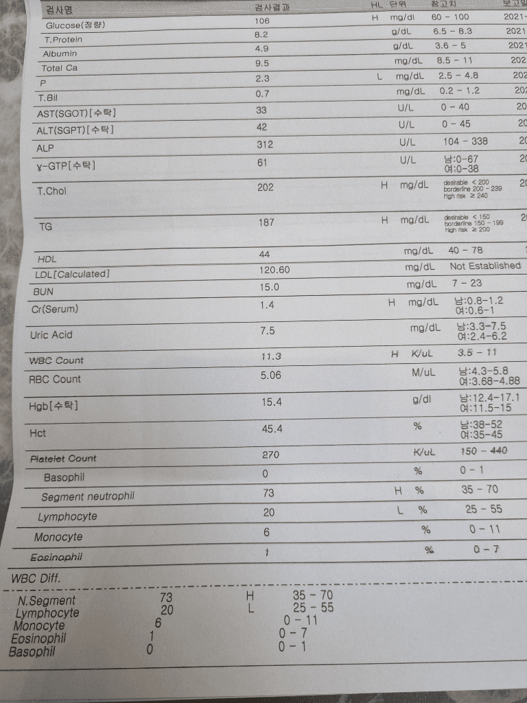 1번 째 사진