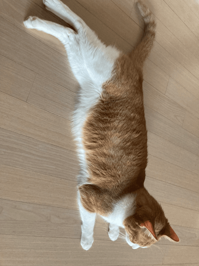 3번 째 사진