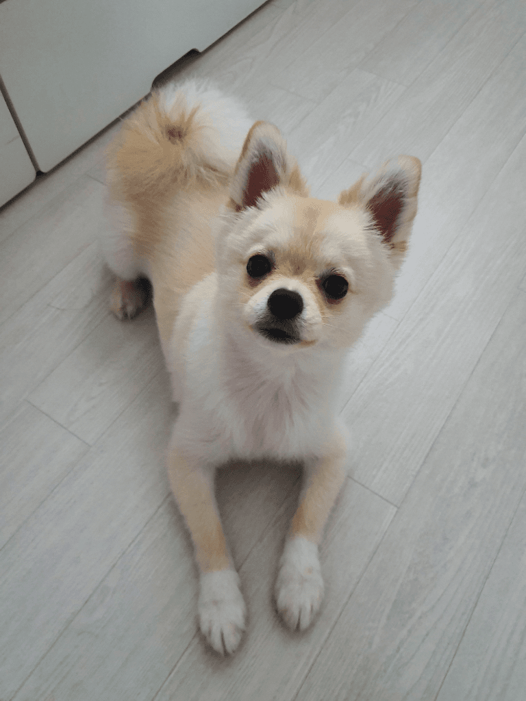 1번 째 사진
