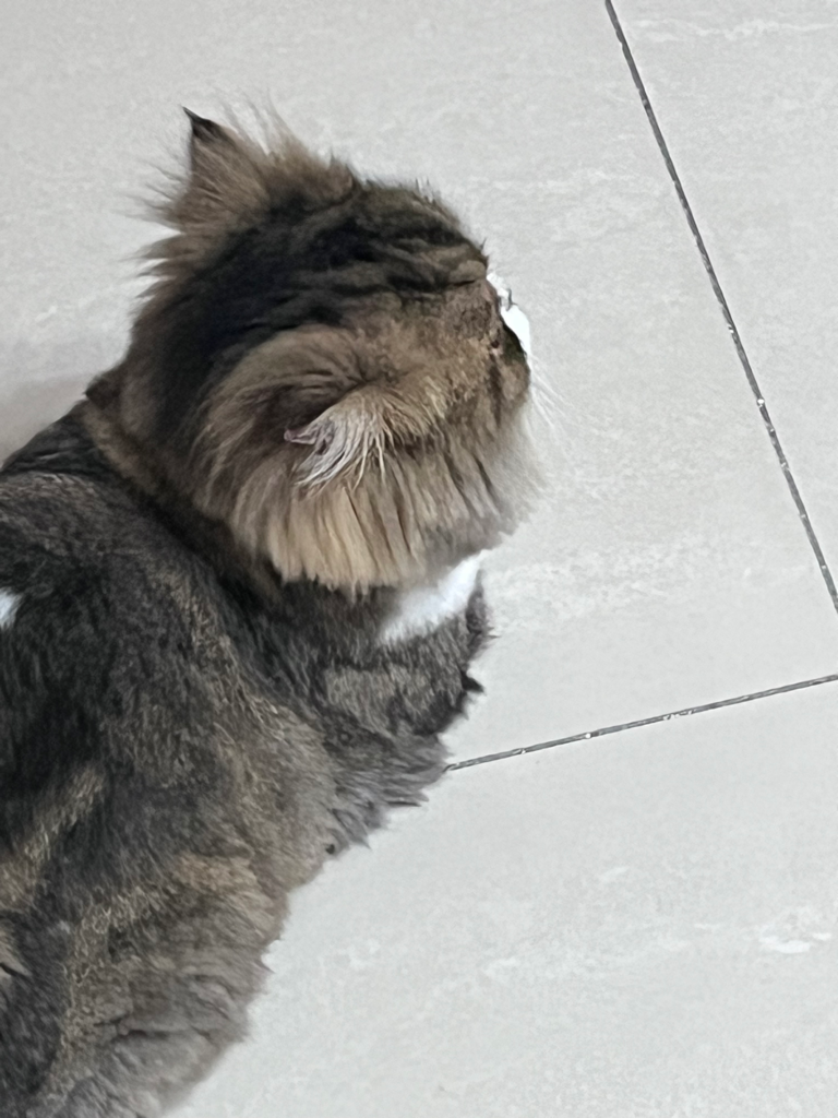 4번 째 사진
