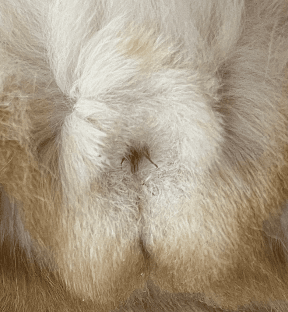 2번 째 사진