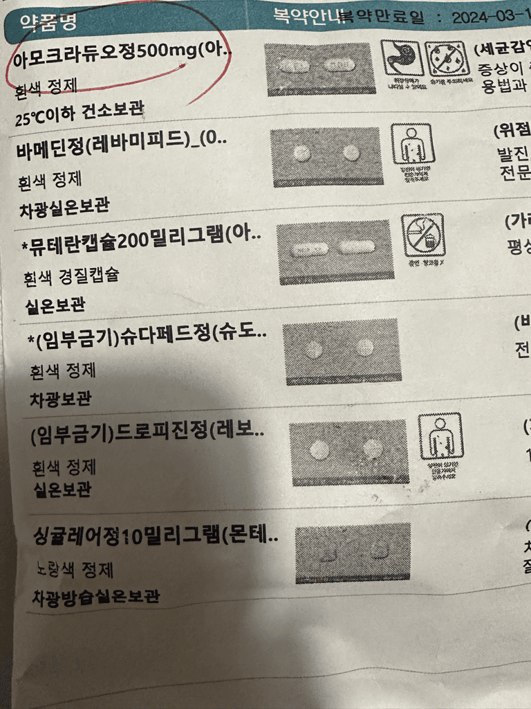 1번 째 사진