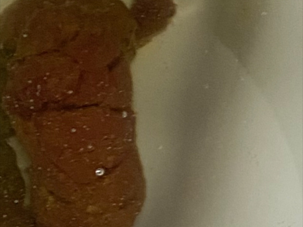 2번 째 사진