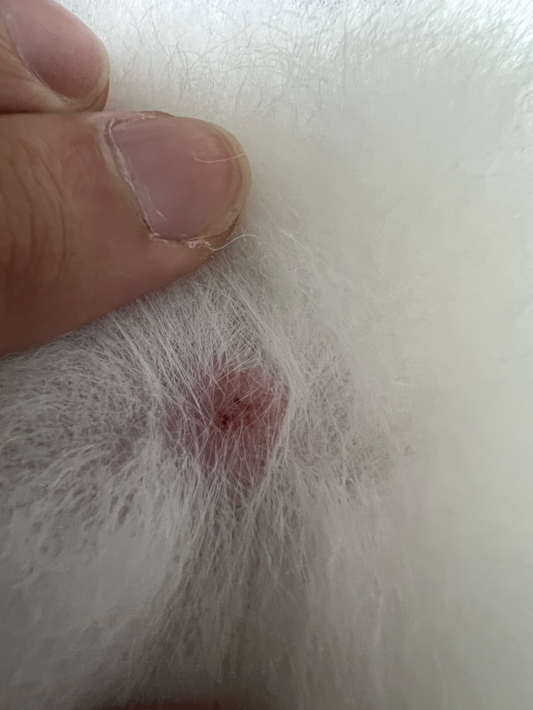 2번 째 사진