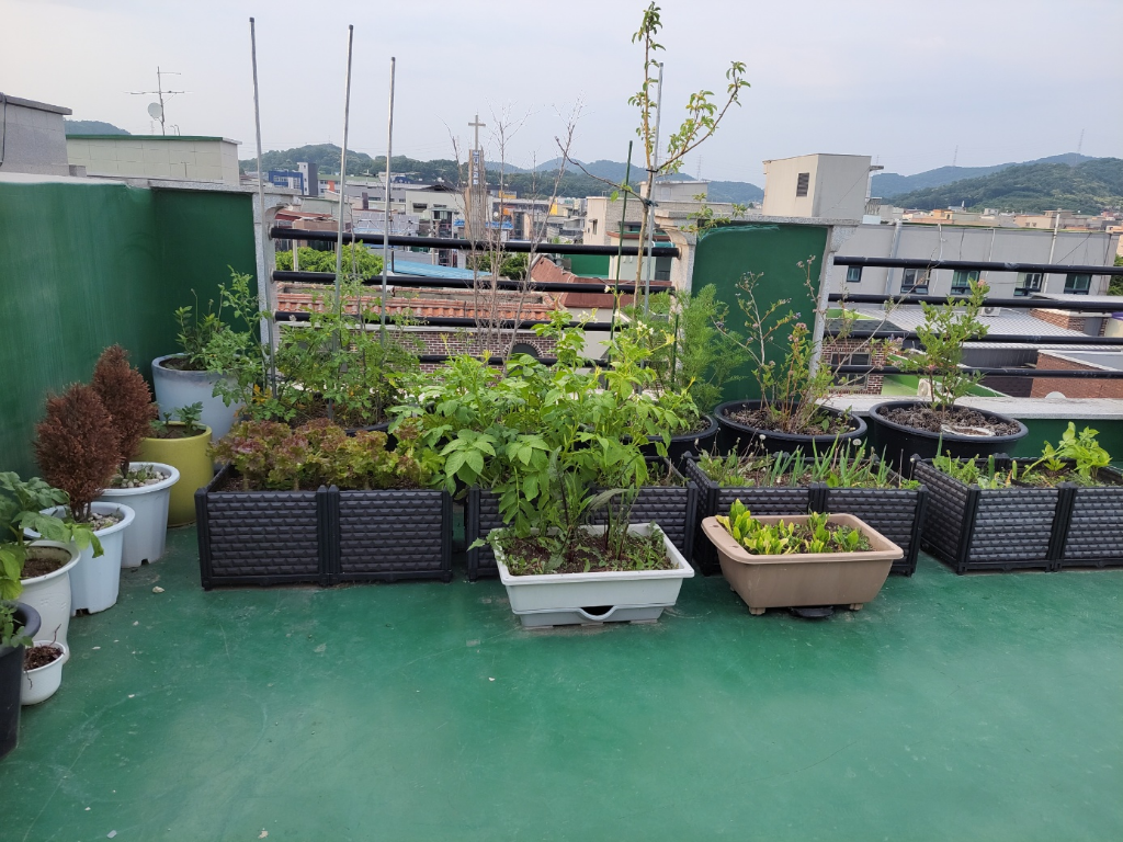 1번 째 사진