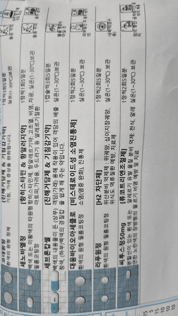 1번 째 사진
