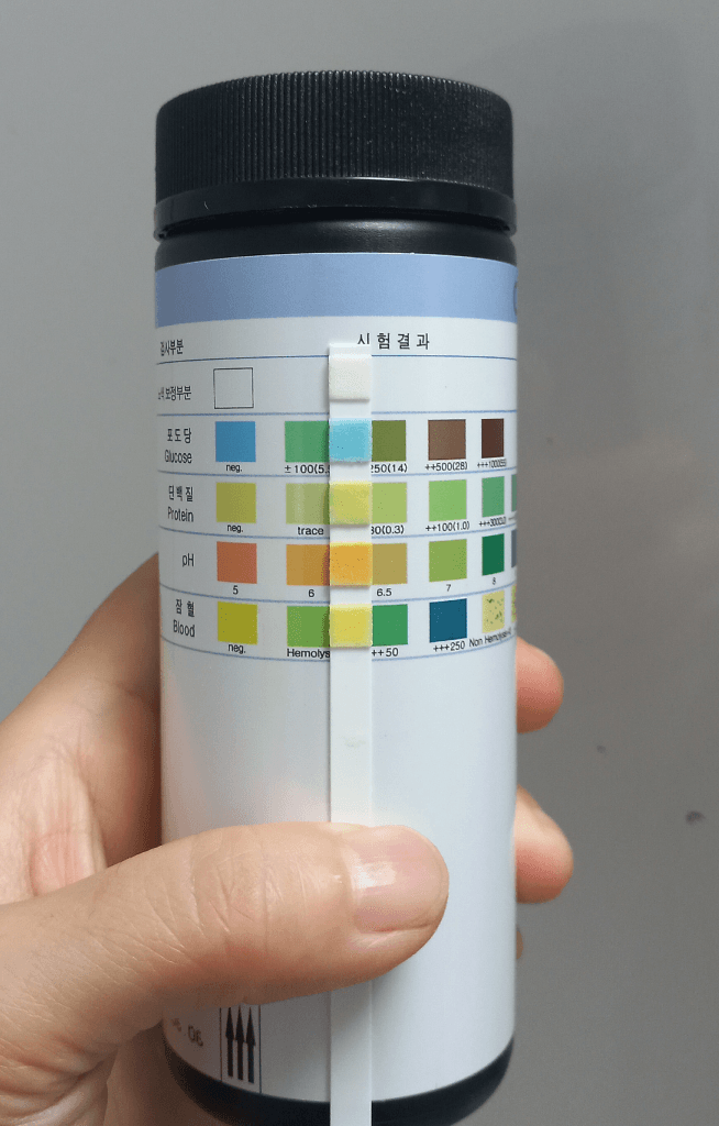 2번 째 사진