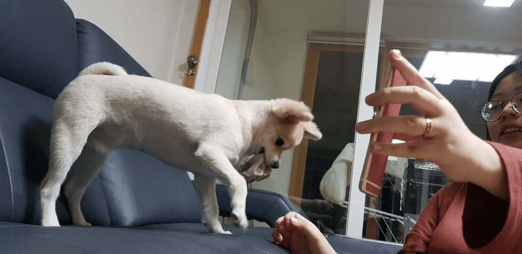 1번 째 사진