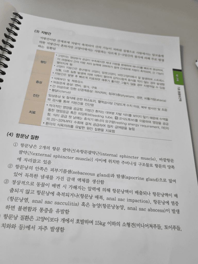 3번 째 사진