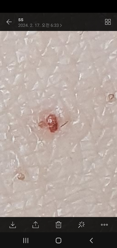 3번 째 사진