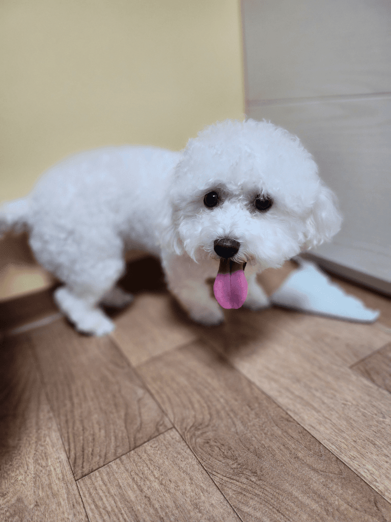 1번 째 사진