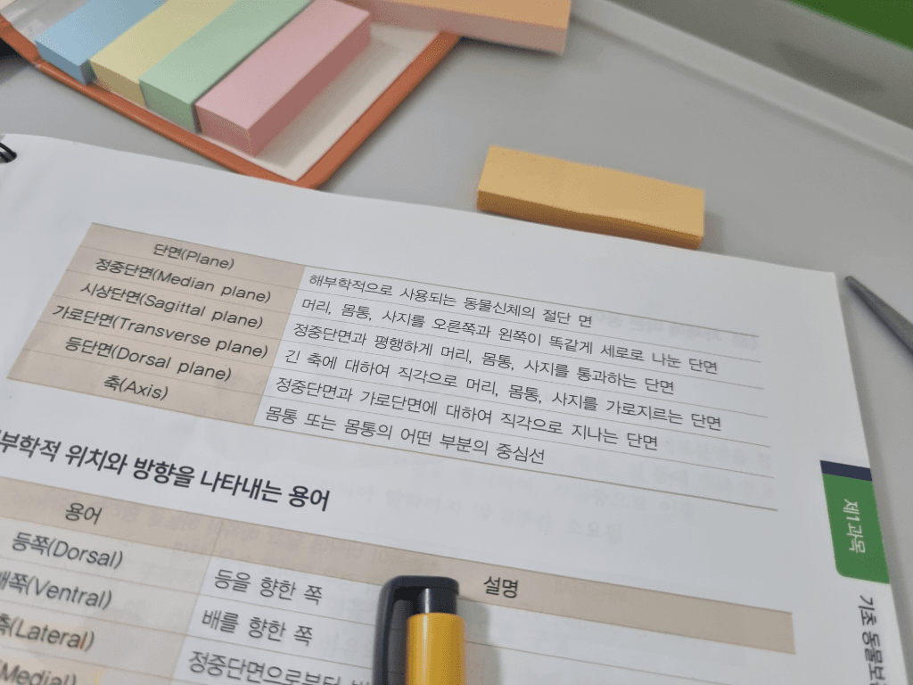 2번 째 사진