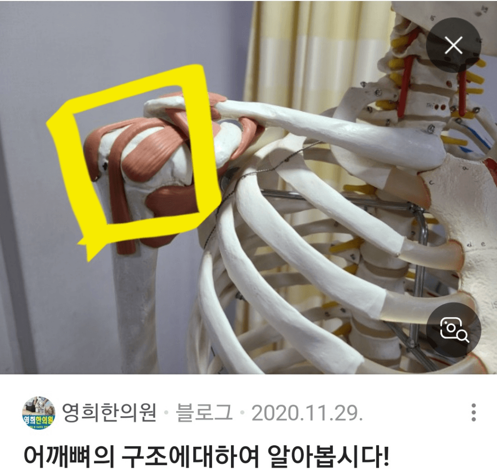 1번 째 사진