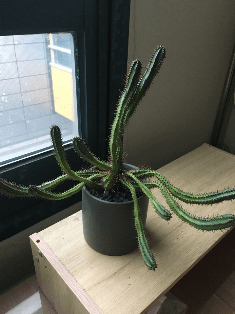 1번 째 사진