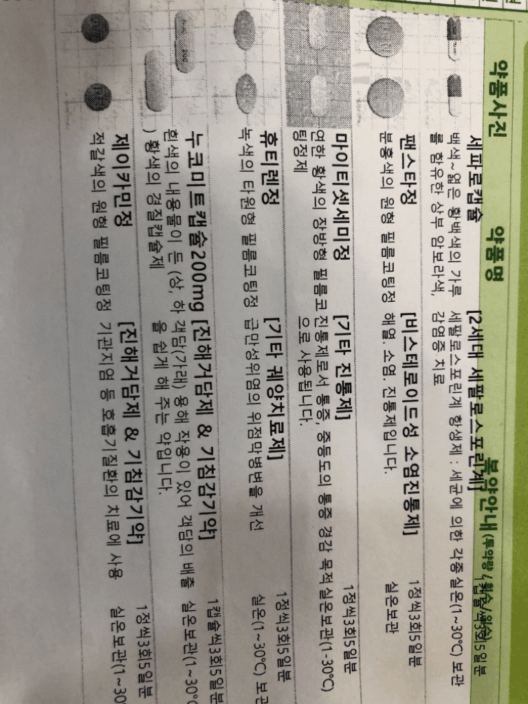1번 째 사진