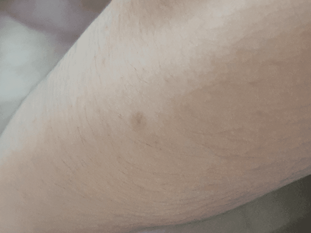 3번 째 사진