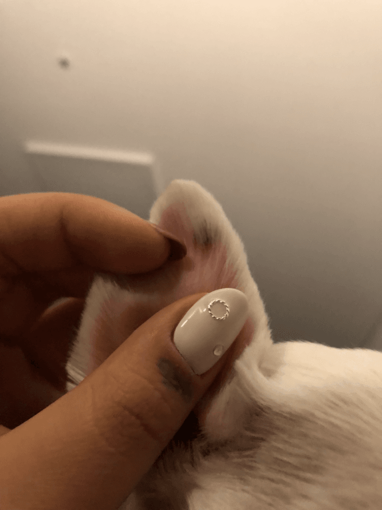 1번 째 사진