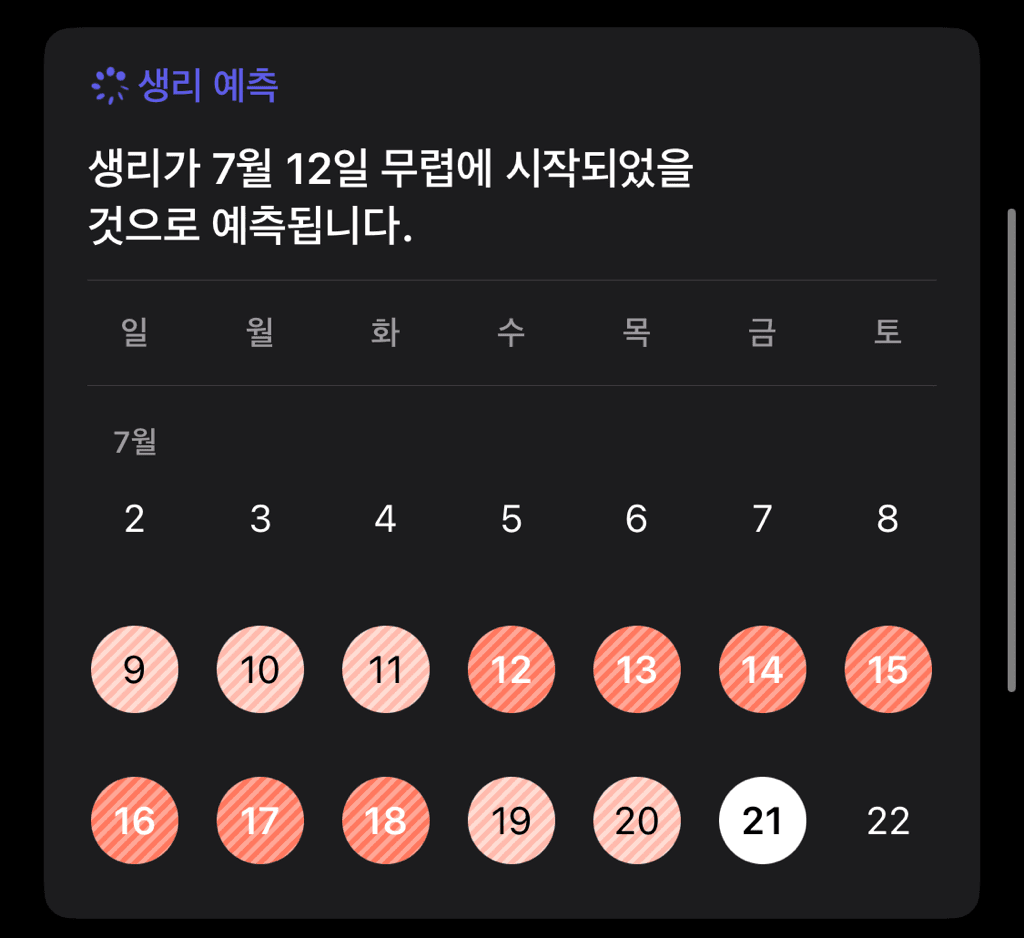 2번 째 사진