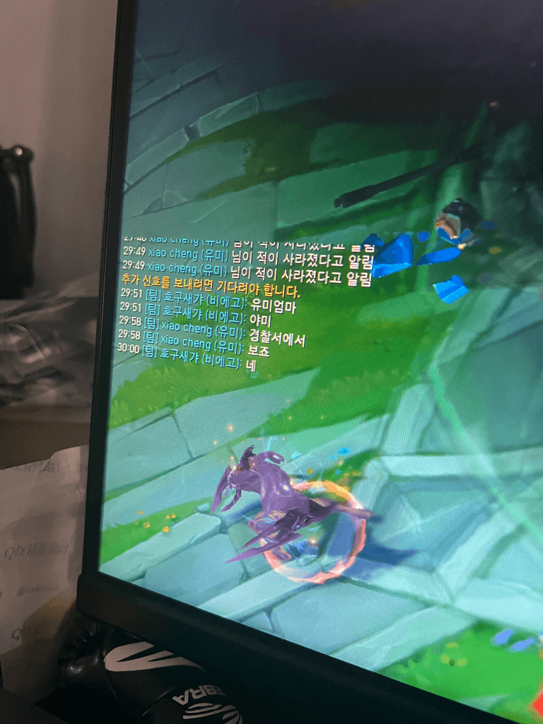 5번 째 사진