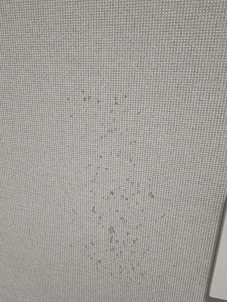 4번 째 사진