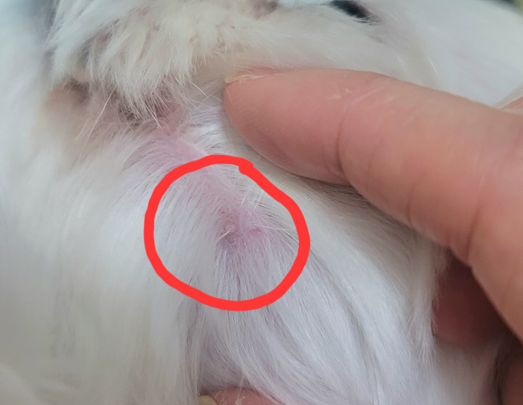 1번 째 사진