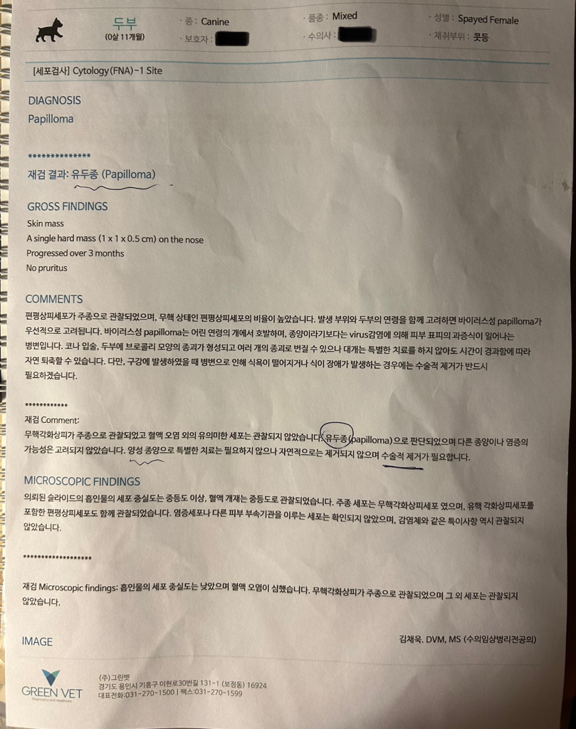 4번 째 사진