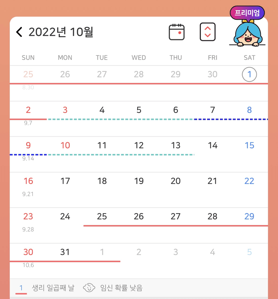 1번 째 사진