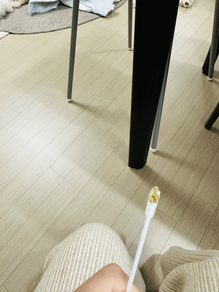 2번 째 사진