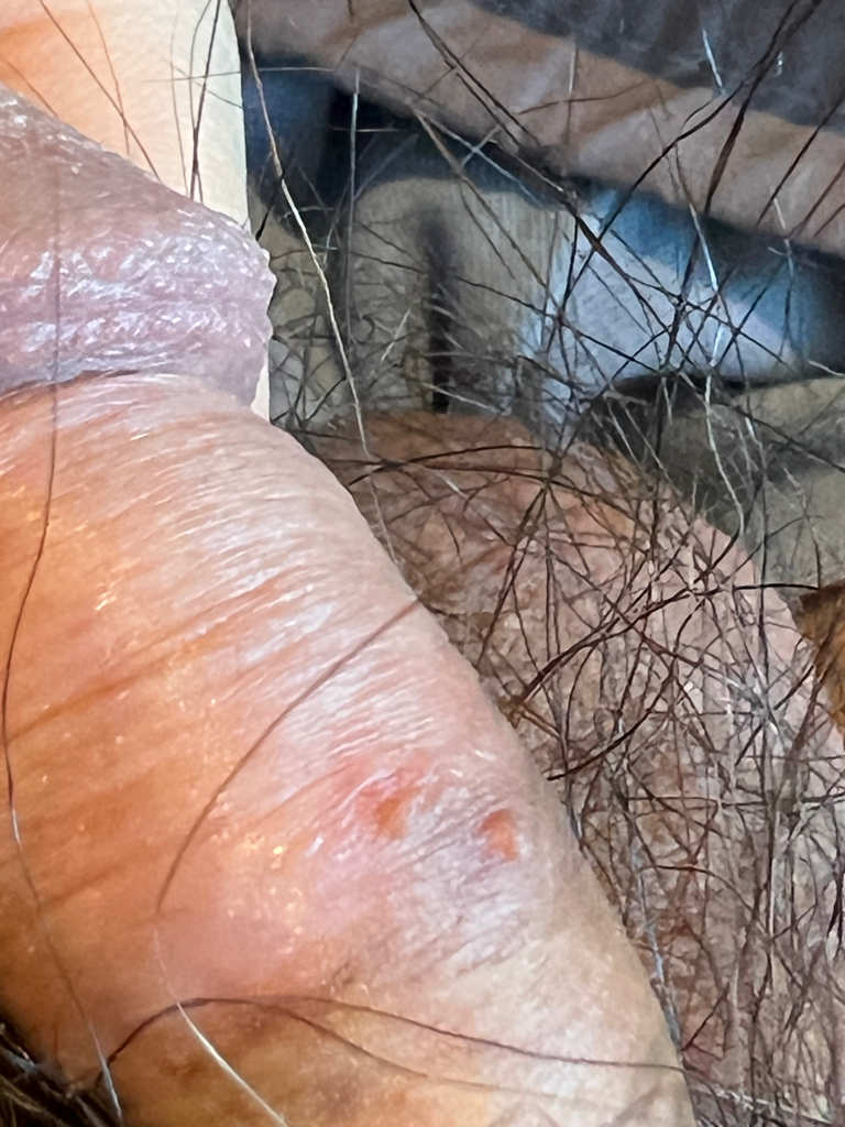 7번 째 사진