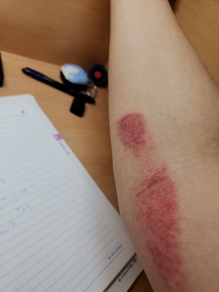 1번 째 사진