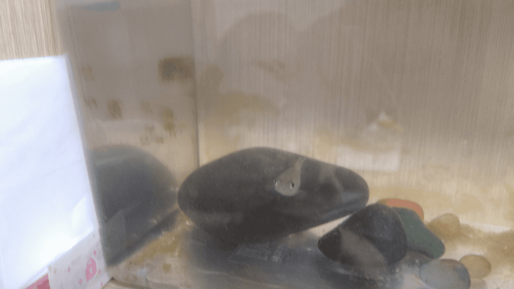 1번 째 사진