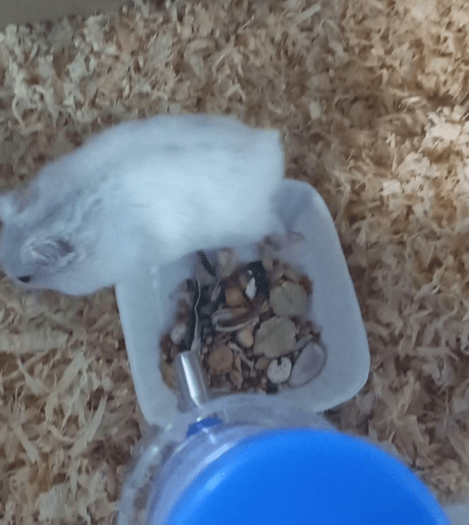 1번 째 사진