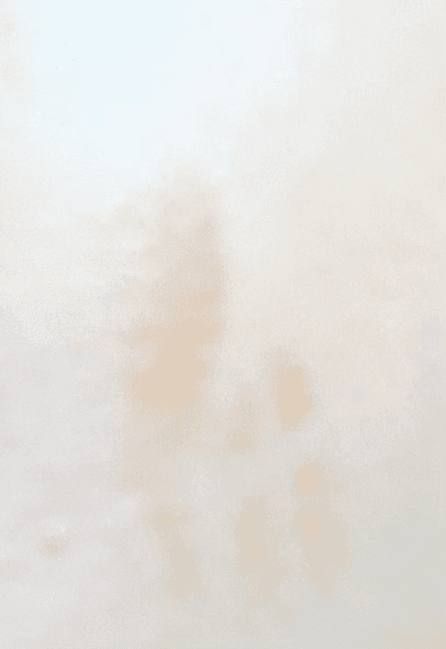 2번 째 사진