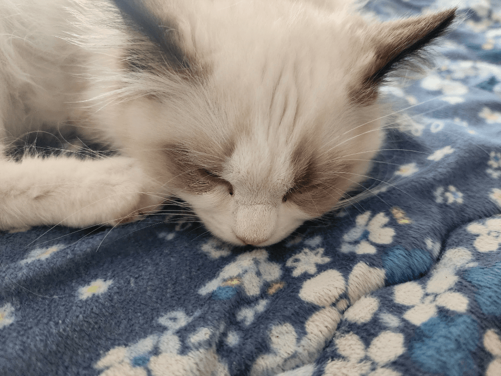 5번 째 사진