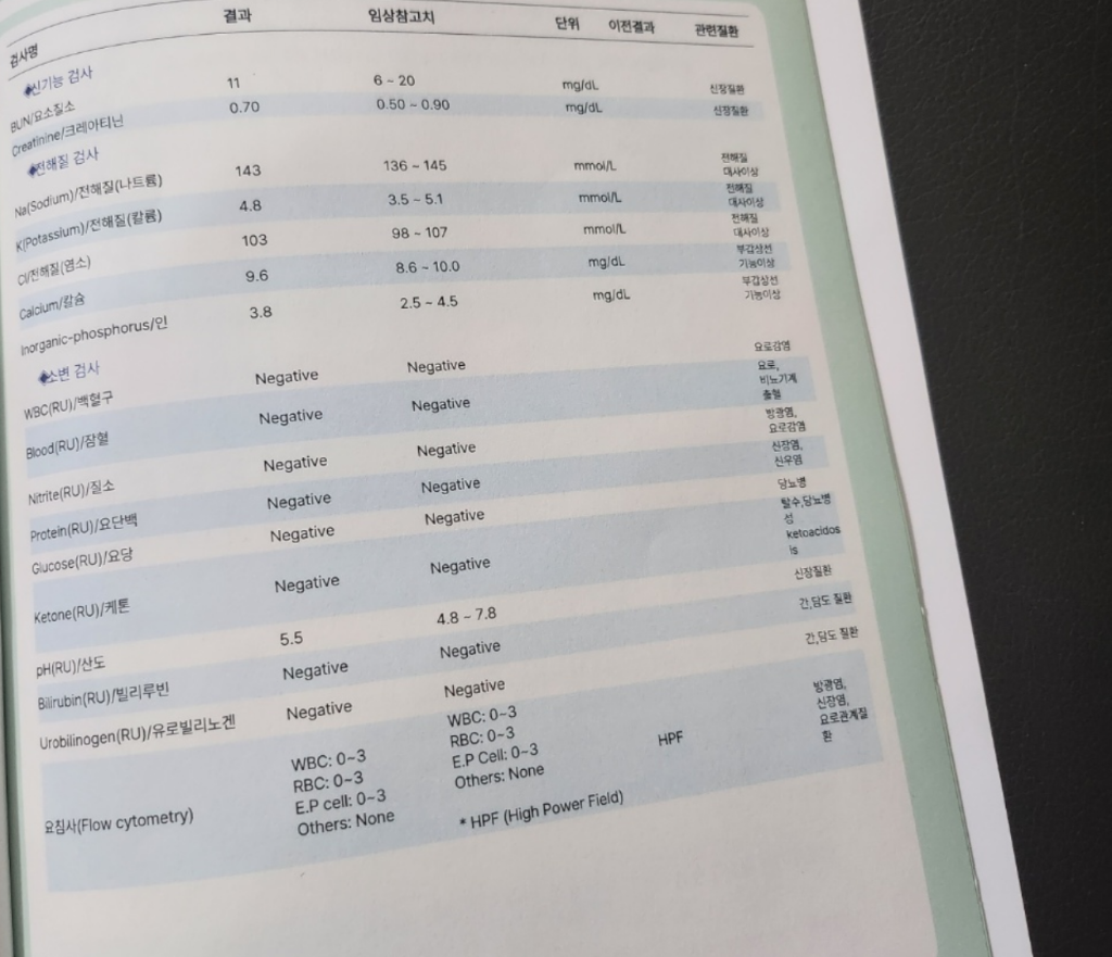 2번 째 사진