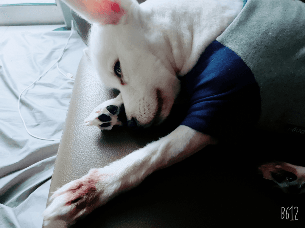 1번 째 사진
