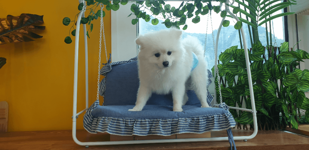 2번 째 사진