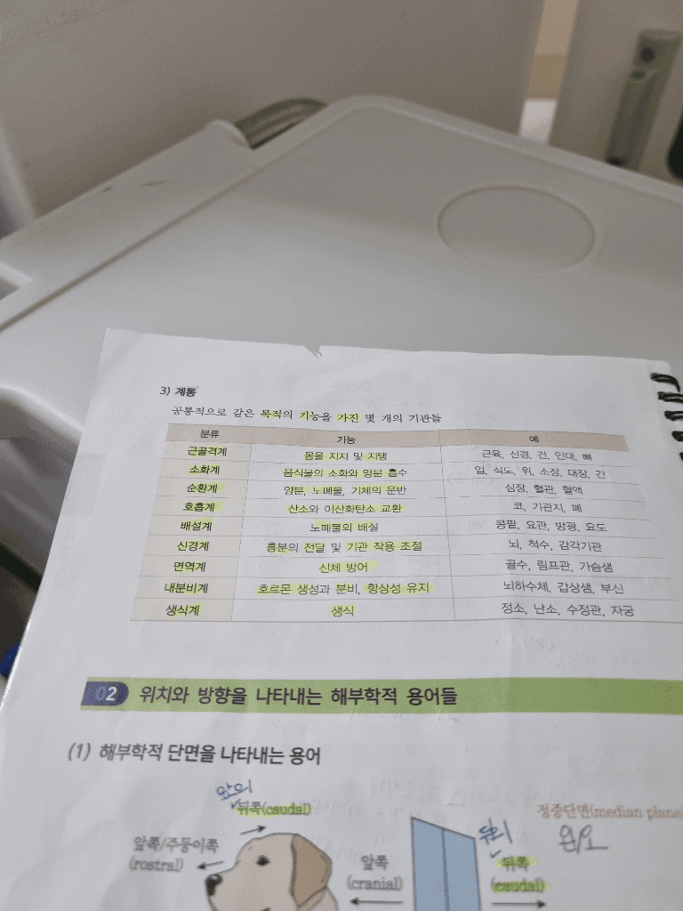 2번 째 사진