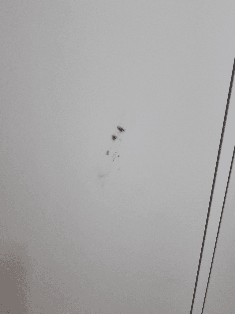 6번 째 사진