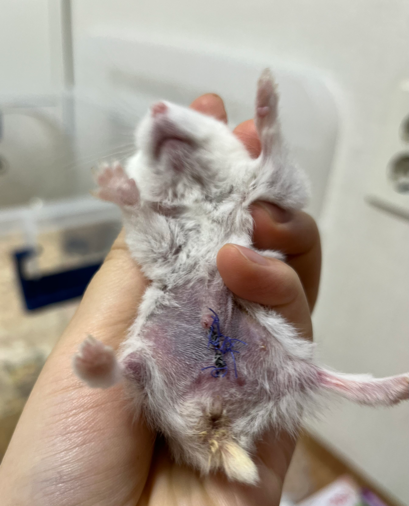 1번 째 사진