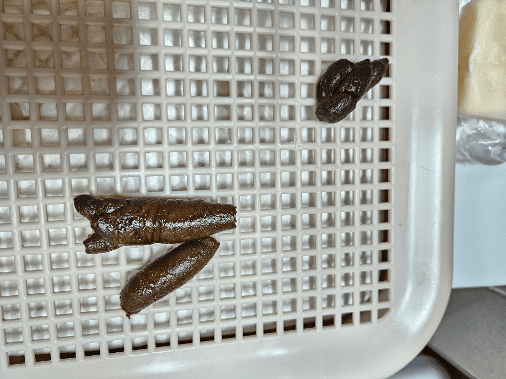 2번 째 사진