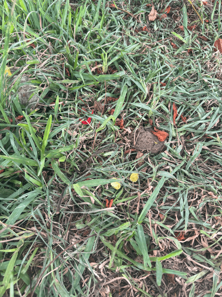 2번 째 사진