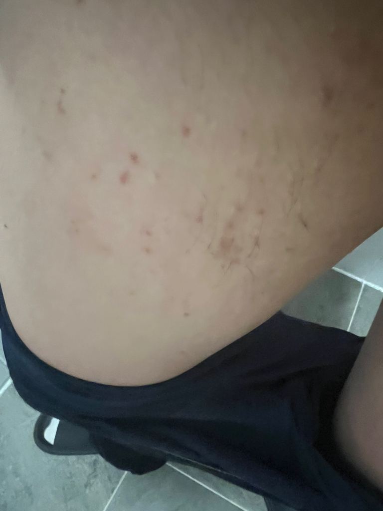 3번 째 사진