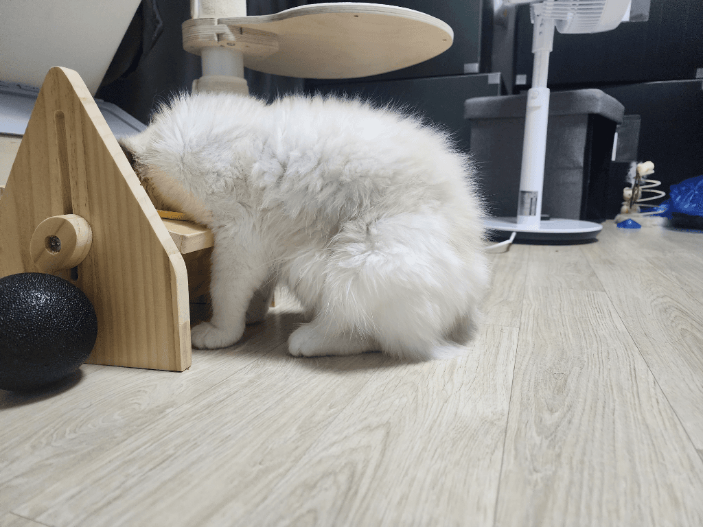 5번 째 사진
