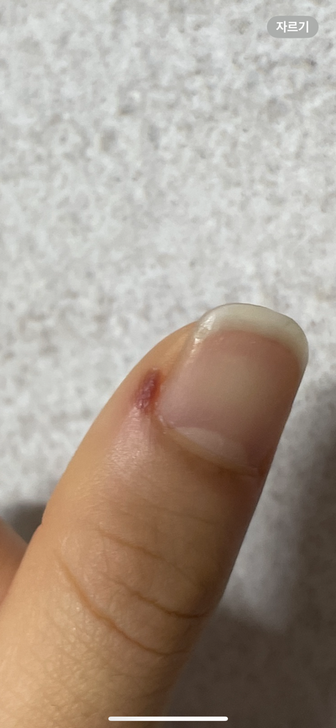 1번 째 사진