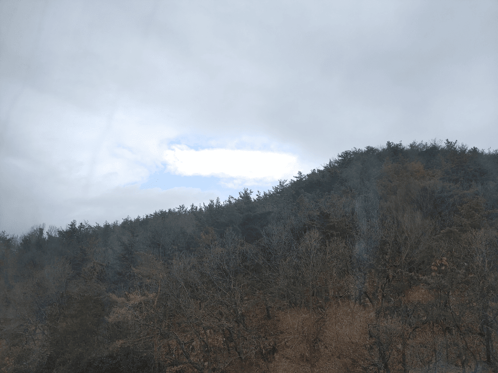 5번 째 사진