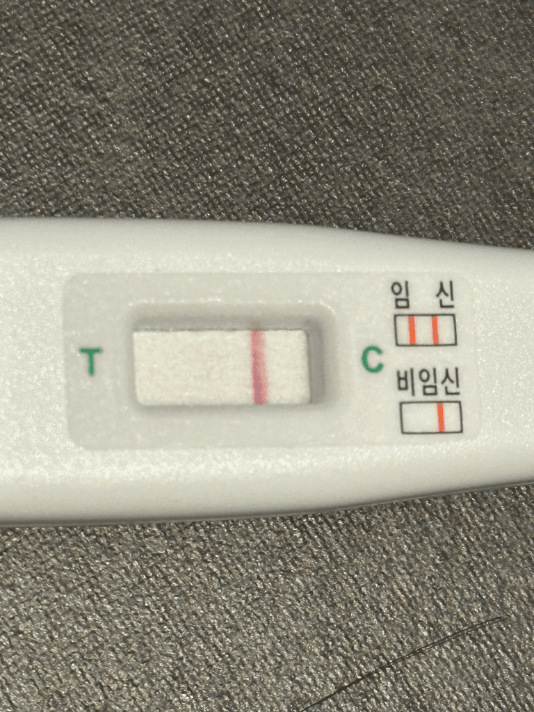 5번 째 사진