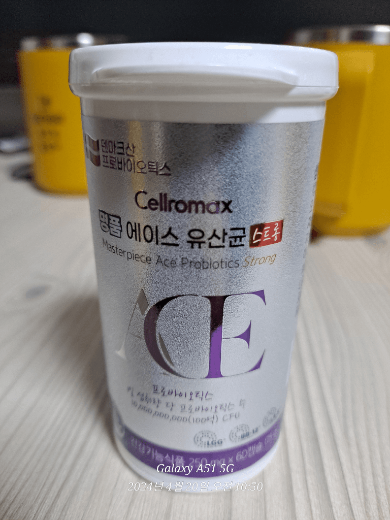 12번 째 사진