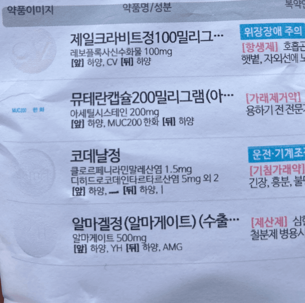 2번 째 사진